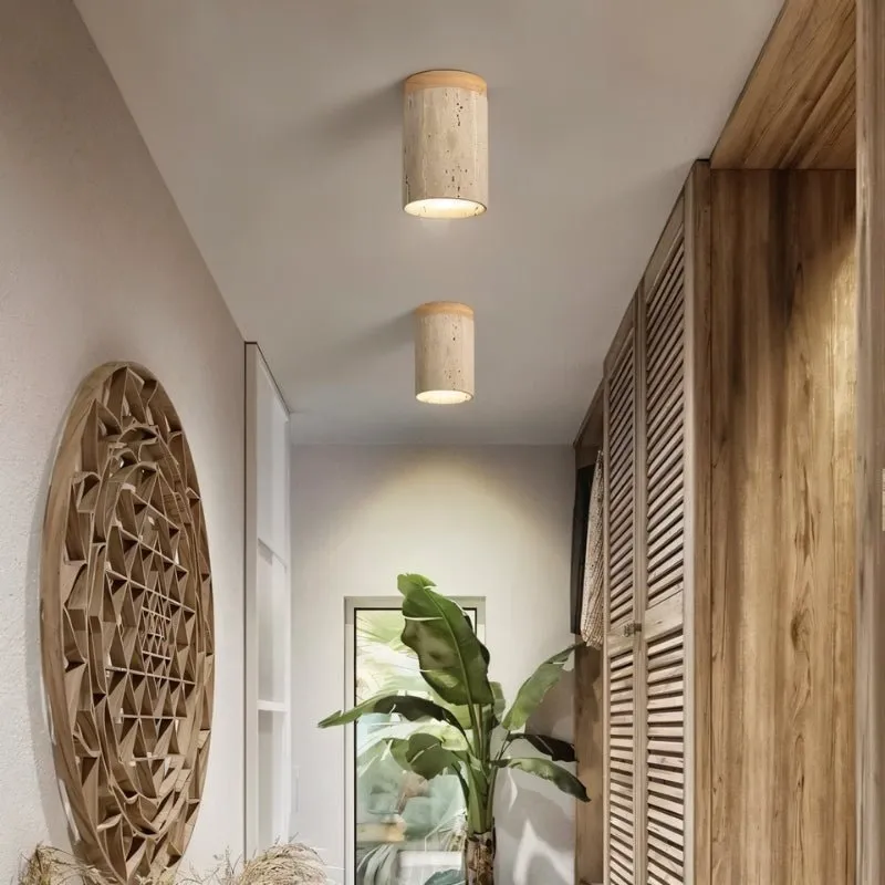 Alorium Ceiling Light