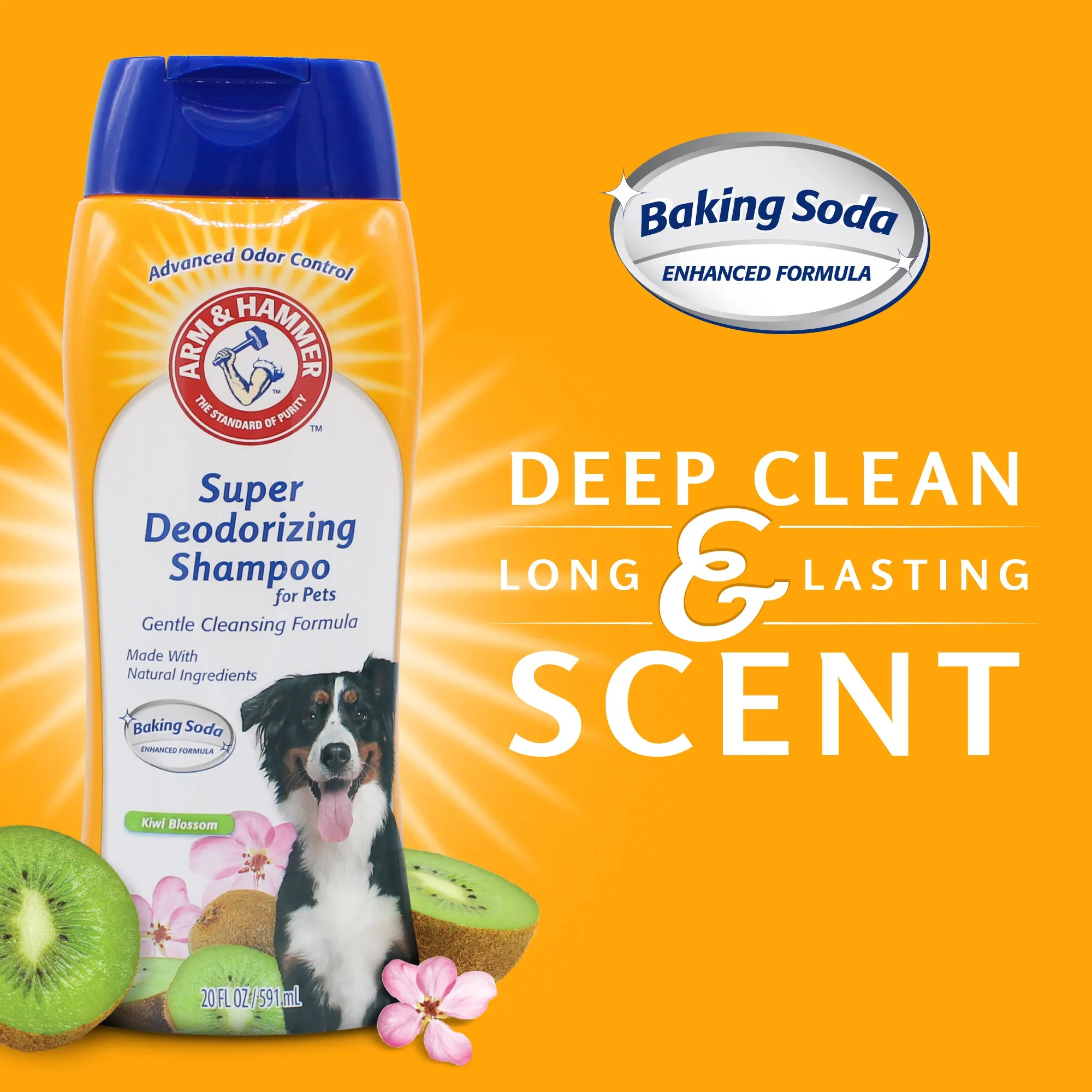 Arm and Hammer Super Deodorizing Dog Shampoo