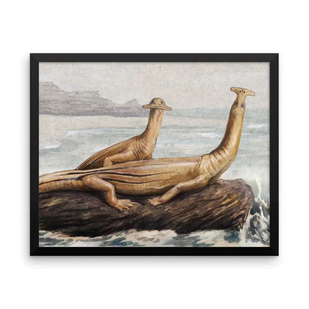 Atopodentatus framed print