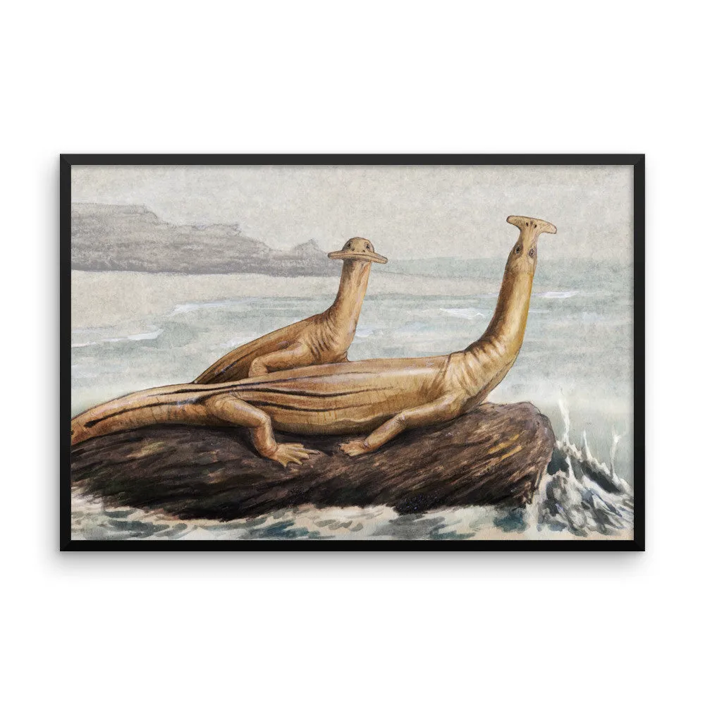 Atopodentatus framed print