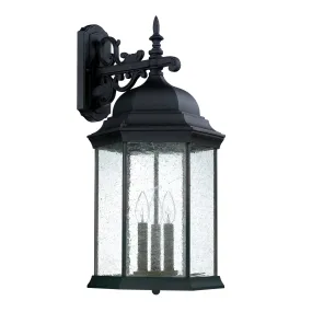 Main Street 3-Light Outdoor Wall Lantern