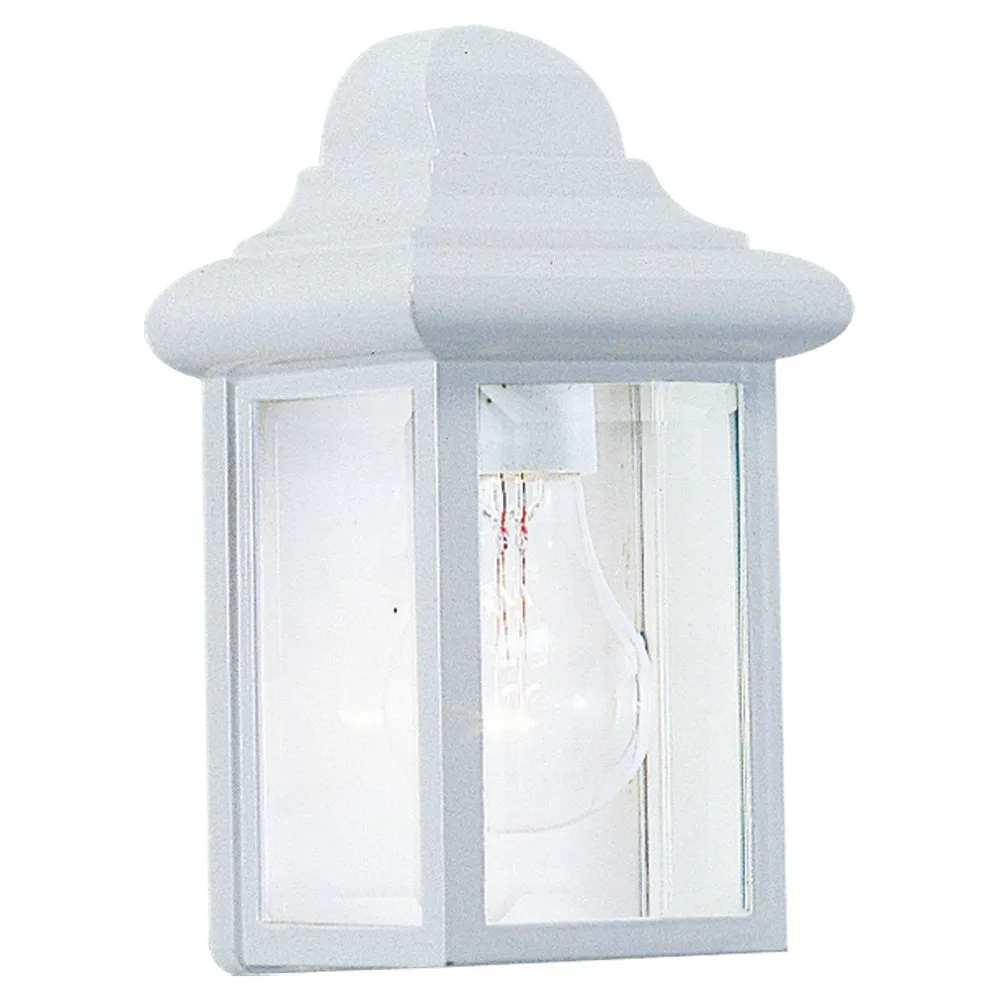 Mullberry Hill 1-Light Outdoor Wall Lantern