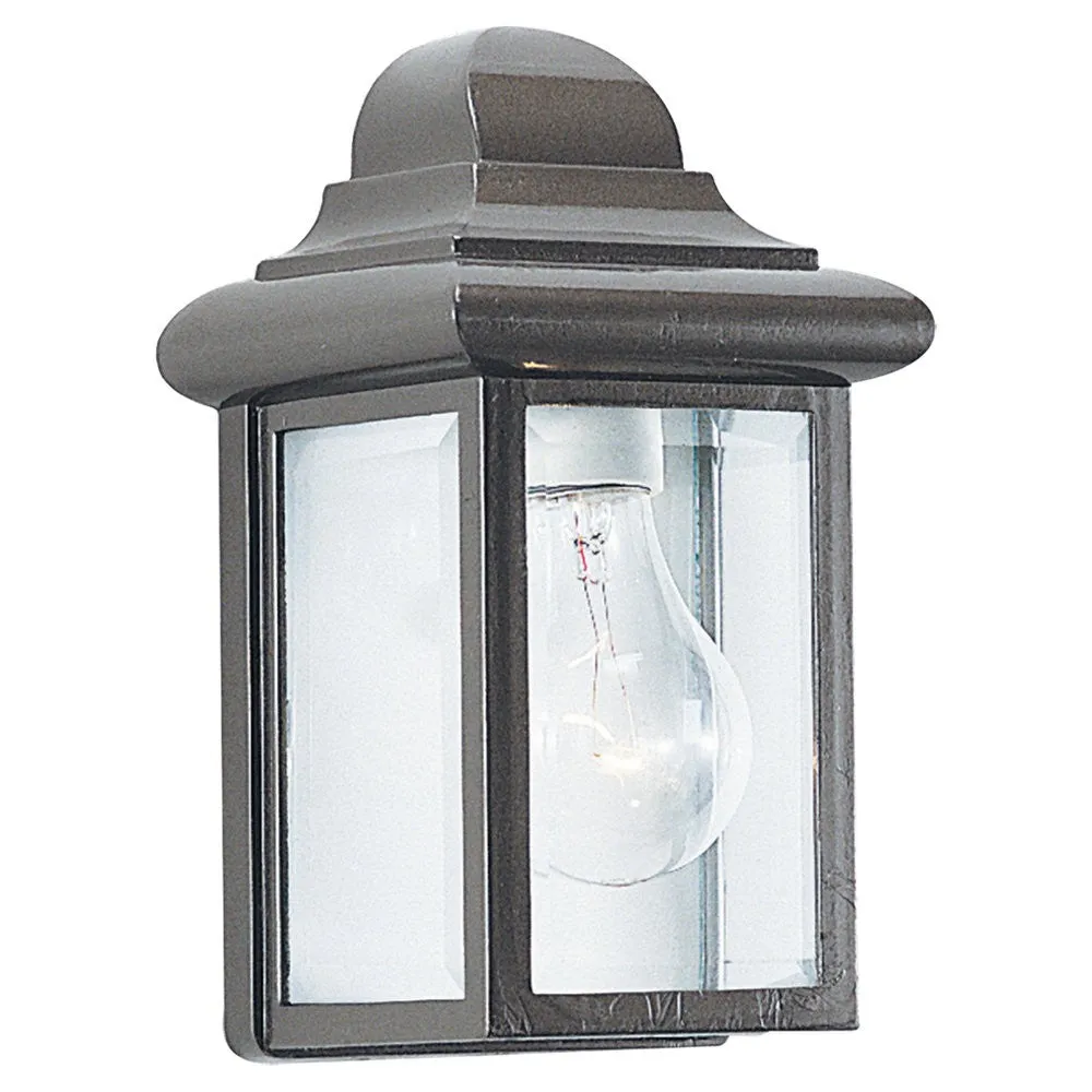 Mullberry Hill 1-Light Outdoor Wall Lantern