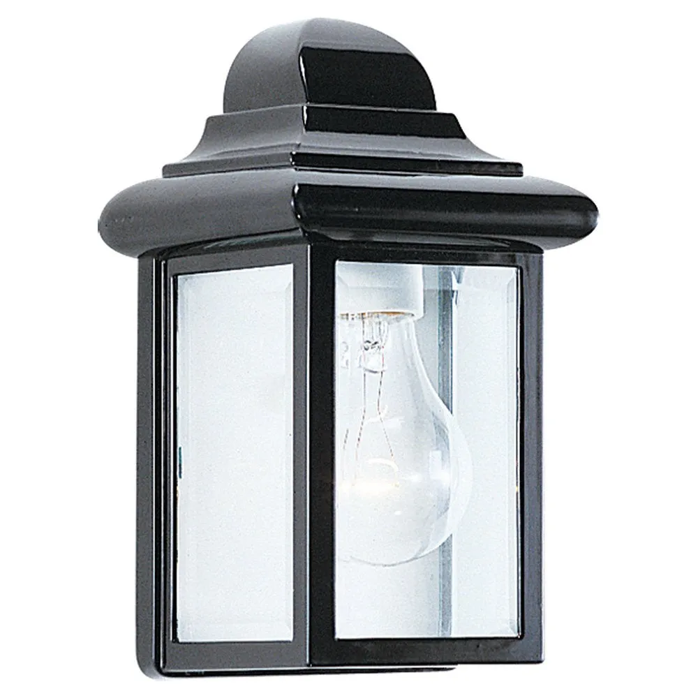 Mullberry Hill 1-Light Outdoor Wall Lantern