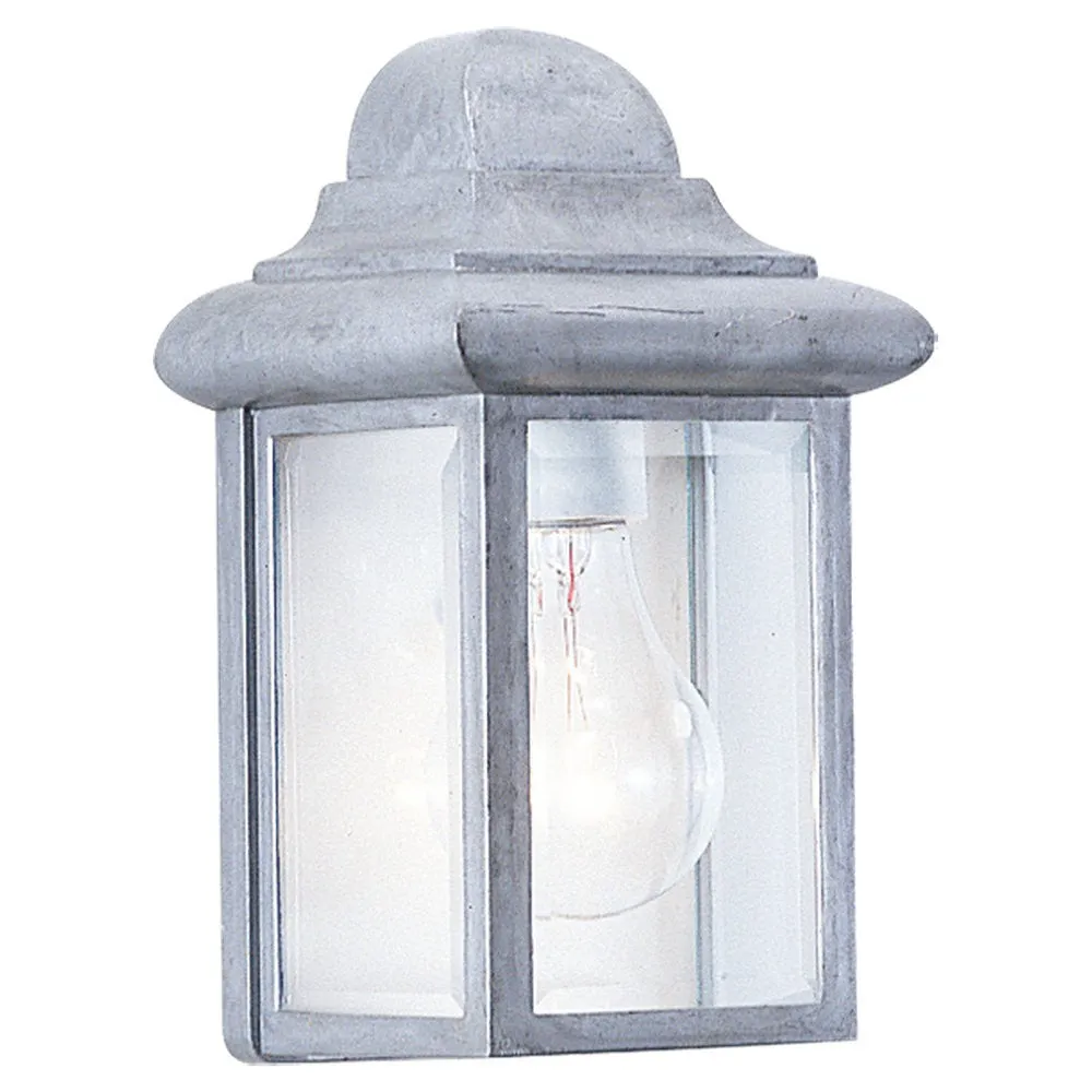 Mullberry Hill 1-Light Outdoor Wall Lantern