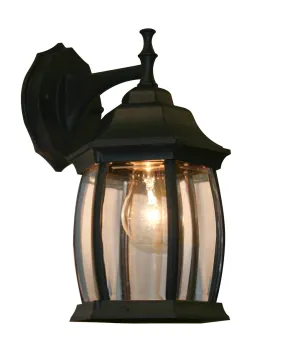 Waterdown 1-Light Outdoor Wall-Light