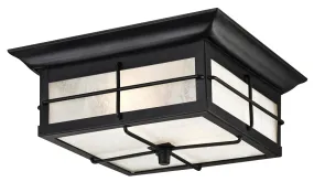 Westinghouse 6204800 Flush Mount Light, 2-Lamp, Incandescent, LED Lamp, Steel Fixture, Black Fixture, Textured Fixture :EA: QUANTITY: 1